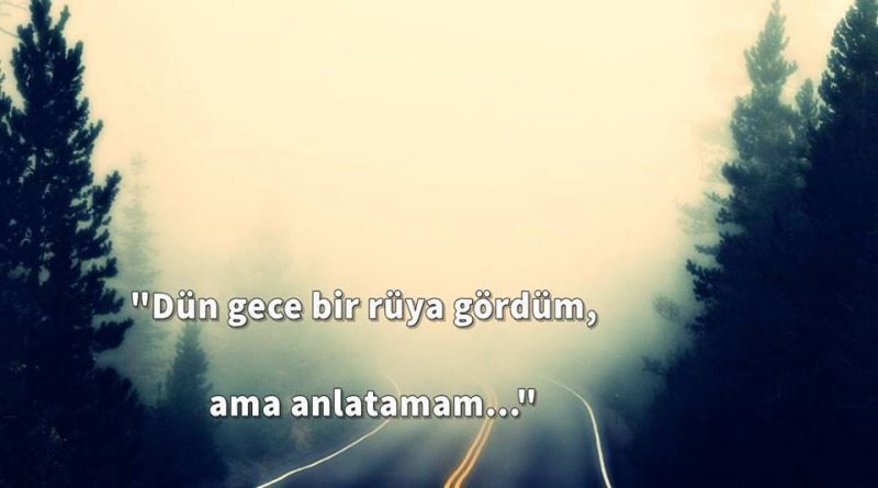 Dün gece bir rüya gördüm…